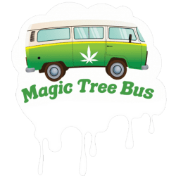 Magic Tree Bus